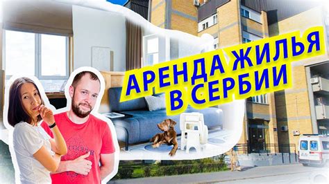 аренда жилья в сербии
